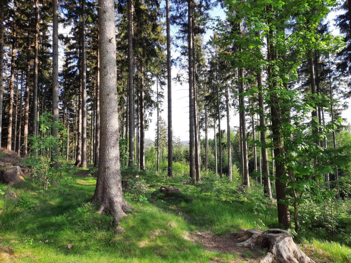 Apartman Mezi Stromy Rokytnice nad Jizerou Buitenkant foto
