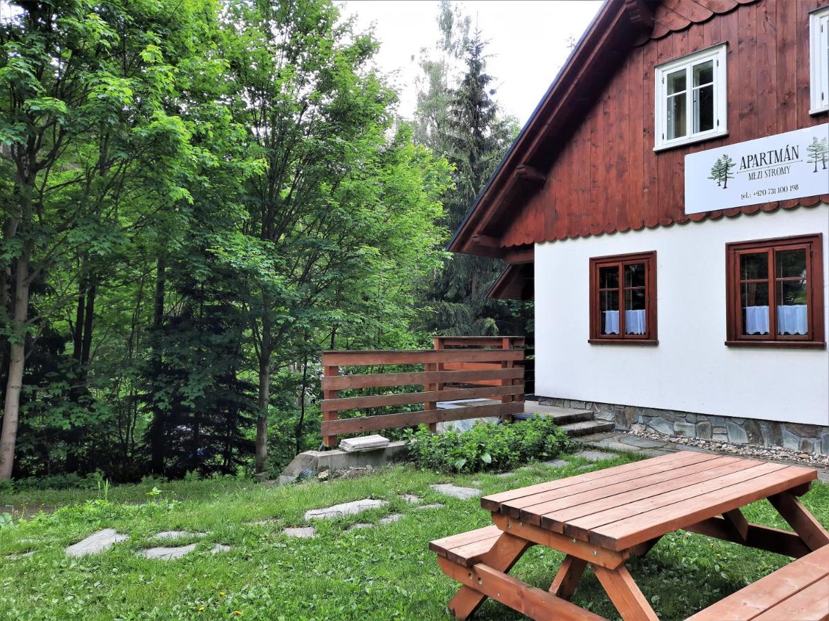 Apartman Mezi Stromy Rokytnice nad Jizerou Buitenkant foto