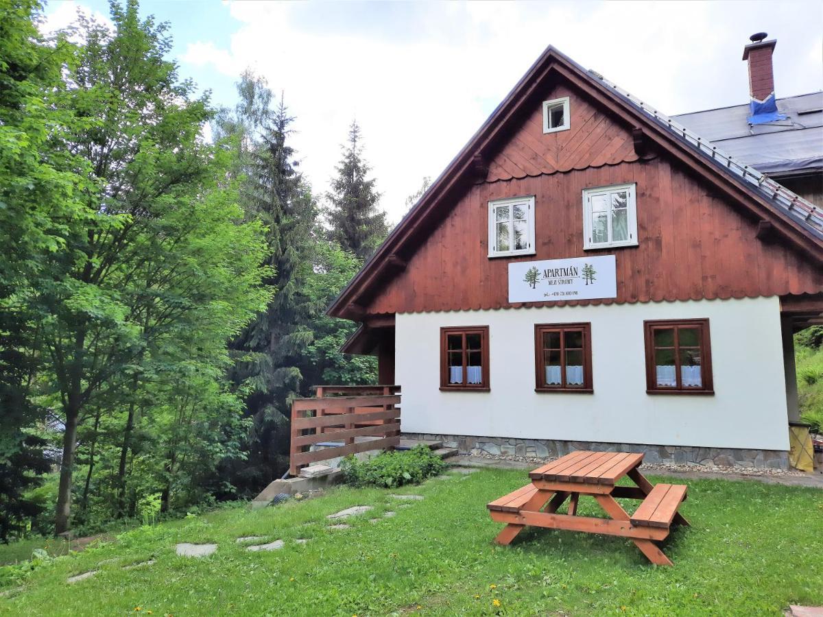 Apartman Mezi Stromy Rokytnice nad Jizerou Buitenkant foto