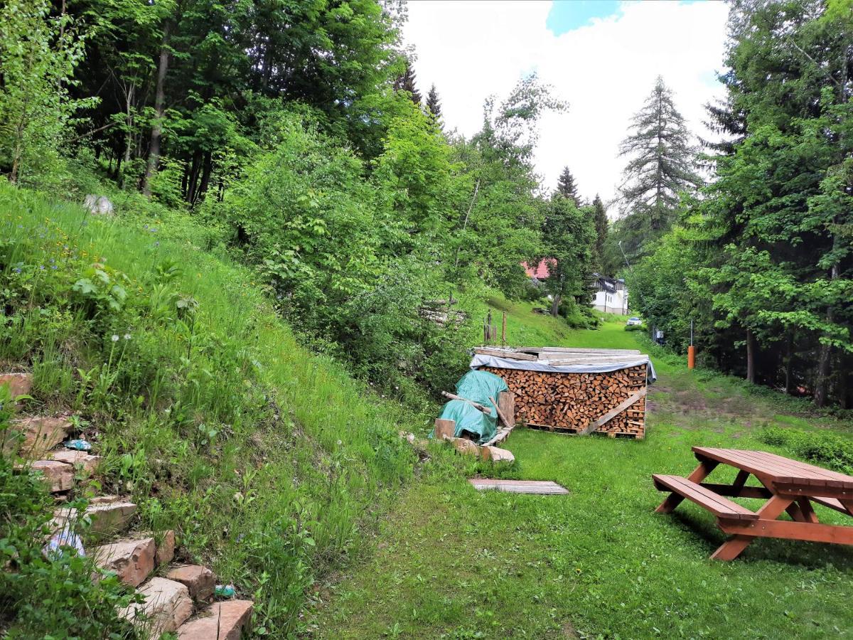 Apartman Mezi Stromy Rokytnice nad Jizerou Buitenkant foto