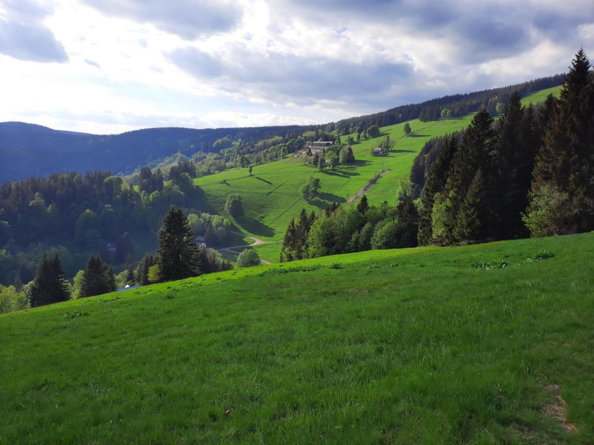 Apartman Mezi Stromy Rokytnice nad Jizerou Buitenkant foto
